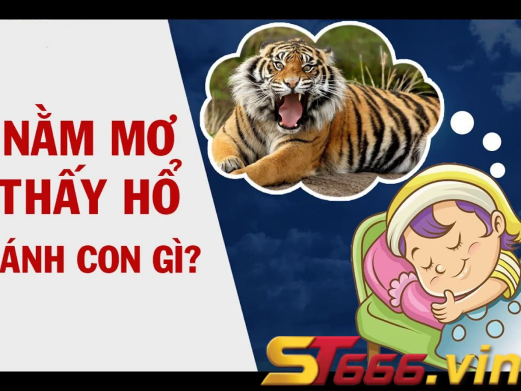 Mơ thấy hổ đánh số mấy? Giải mã ý nghĩa giấc mơ