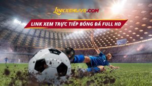 Linkxemlive - Link Xem Trực Tiếp Bóng Đá Chất Lượng Full HD